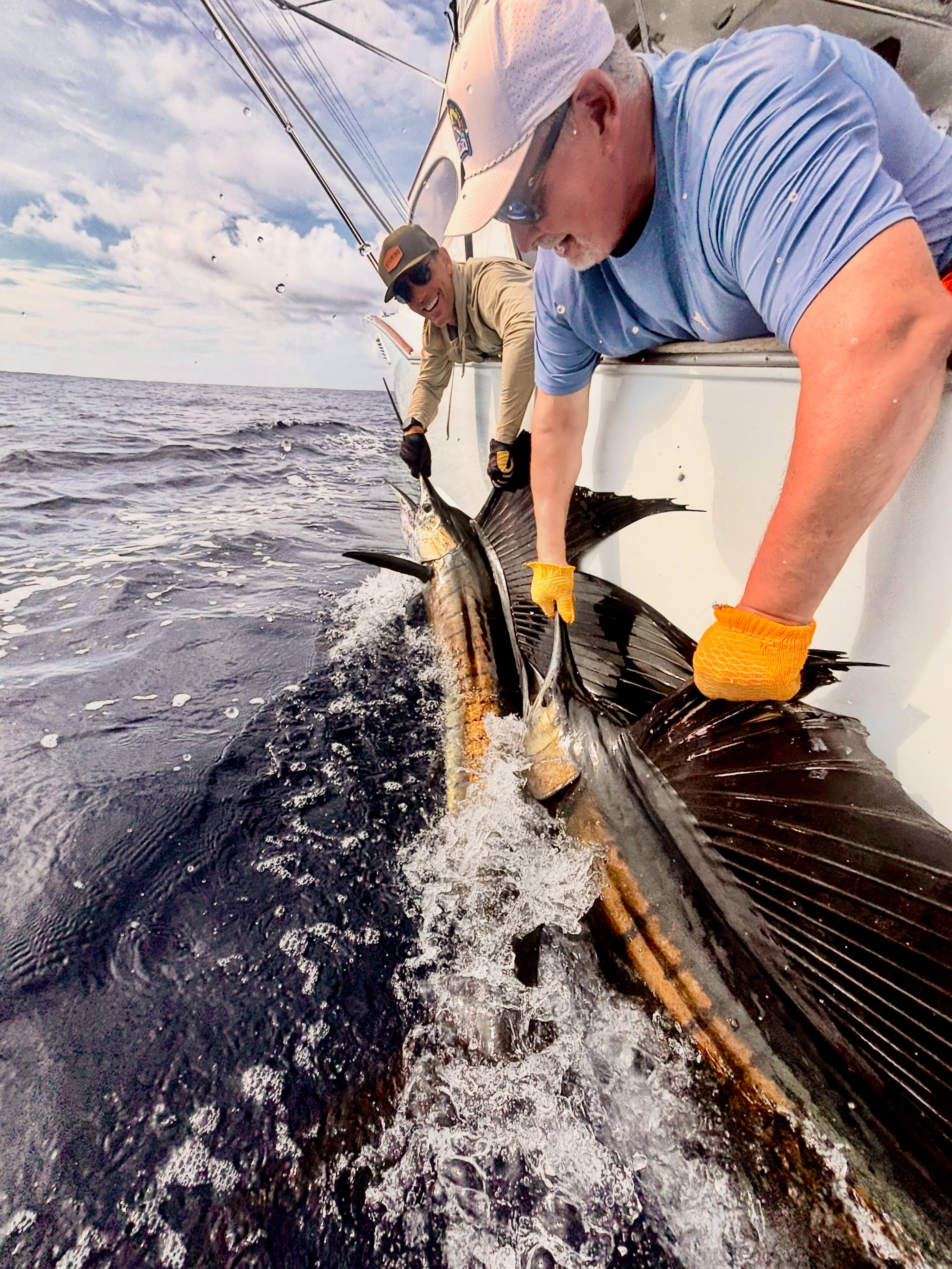 Crew releasing a sailfish beside the boat